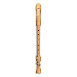MOLLENHAUER Canta Tenor barock Knick-Tenor Doppelklappe