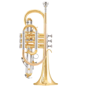 ARNOLDS & SONS B-Kornett ACR-4220 "Terra",...