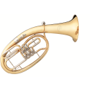 B&S Tenorhorn 3032/2-L 3 Ventile, Goldmessing