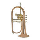 BACH Bb-Flügelhorn FH501, Goldmessing...