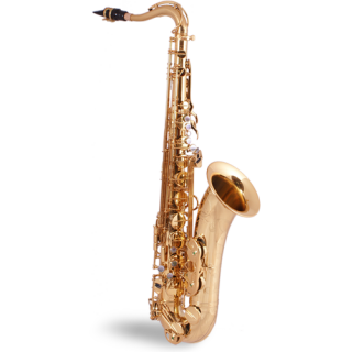 SYSTEM 54 Tenorsax Superior Class R-Series "Core" (Dark Gold Lacquer)